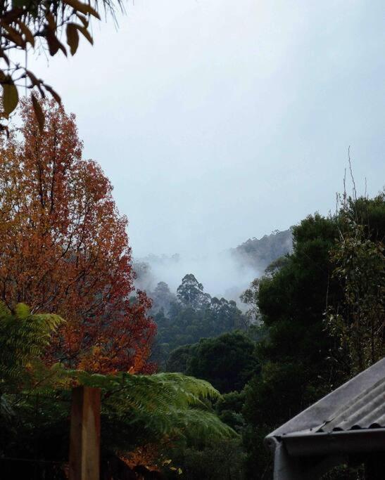 Harrys House Warburton - Peaceful Riverside Cottage In The Perfect Location Esterno foto